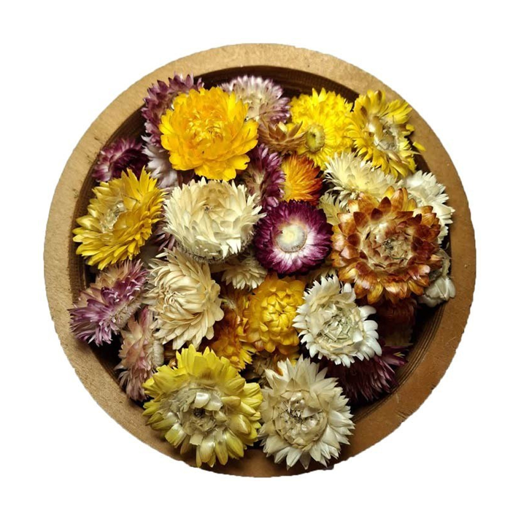 گیاه گل مینا خشک پودر نشده 500 گرمی 